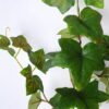 Artificial Plant 25*61CM Ivy Spray*3 GS-25819010