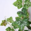 Artificial Plant 25*60CM Ivy Spray*3 GS-25819011 2 Artificial Plant 25*60CM Ivy Spray*3 GS-25819011