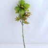 Artificial Plant 21*55CM Pinus montana miller spray GS-36619016CONTI-G1