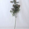 Artificial Plant 17*61CM Plastic Grass Bush*3 GS-36619057-Z2
