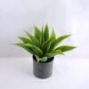 Artificial Plant 37*35*32CM Potted Tree in plastic pot GS-52719034