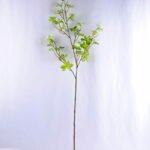 Artificial Plant 34*109.5CM SINGLE ECULYPTUS LEAVE GS-26219012