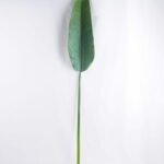 Artificial Plant 17*114CM Single Bird of paradise GS-50519009