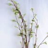 Artificial Plant 17*125cm Weeping willow leaf GS-39119001