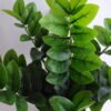 Artificial Plant 42*41*60cm Zamioculcas tree in the plastic pot GS-30419023