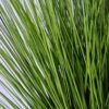 Artificial Plant 66*66*77CM grass in plastic pot GS-29419004P0P4-G2