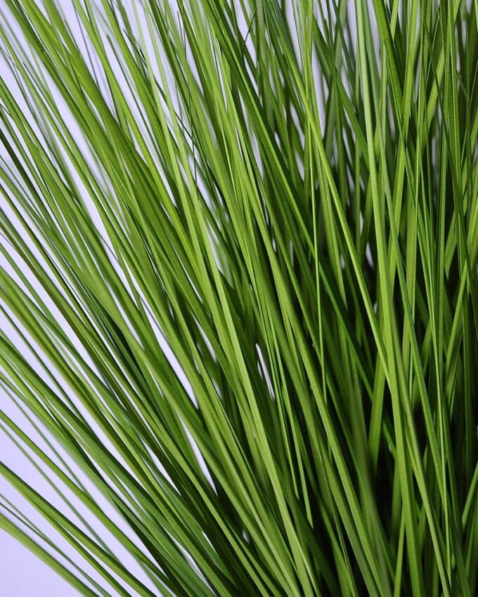 Artificial Plant 66*66*77CM grass in plastic pot GS-29419004P0P4-G2