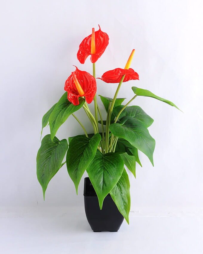 Artificial Tree ANTHUNIUM PLANT *3 W/ PLASTIC POT GS-0450173-GSML 1 Artificial Tree ANTHUNIUM PLANT *3 W/ PLASTIC POT GS-0450173-GSML