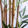 Artificial Tree 41*31*98CM BAMBOO/468 LVS. GS-07919042