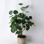 Artificial Tree 29*30*51CM Eucalyptus In Basket GS-06919043