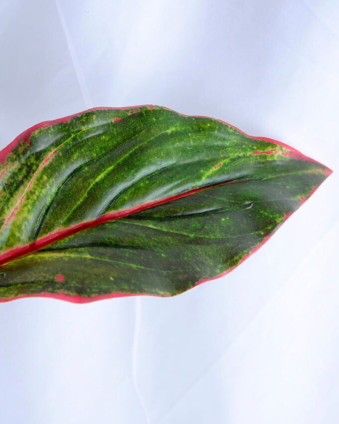 Artificial Tree 44*35*47cm Evergreen*5 GS-39119003-G1