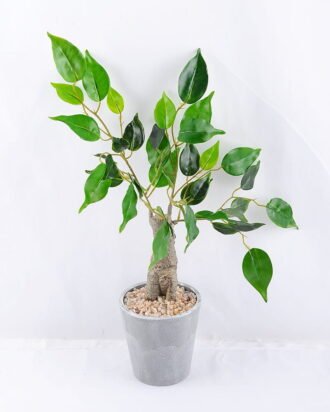 Artificial Tree 17*30*46cm Ficus Tree In Paper Pot GS-24519022 Tree&Plant YeahFlower is one of Chinese leading OEM manufacturers and exporters , supplying the silk flowers, wholesale artificial trees Artificial Tree 17*30*46cm Ficus Tree In Paper Pot GS-24519022