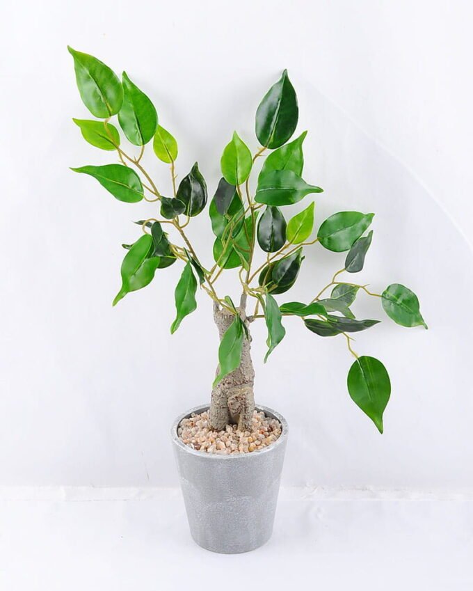 Artificial Tree 17*30*46cm Ficus Tree In Paper Pot GS-24519022