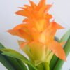 Artificial Tree 45*45*64cm Ginger Flower in Plastic pot GF-41919002-O1