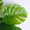 Artificial Tree 46*44*50CM Monstera Bush*14 GS-29819024