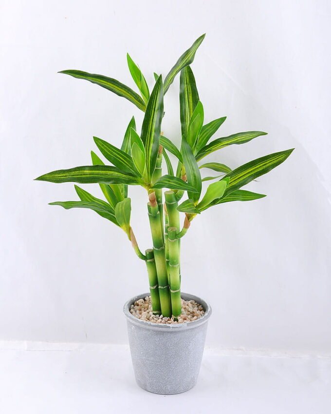 Artificial Tree 25*26*45cm Potted Bamboo In Paper Pot GS-24519019