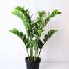 Artificial Tree 53*47*72CM Zamioculcas tree in the plastic pot GS-30419015
