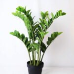 Artificial Tree 53*47*72CM Zamioculcas tree in the plastic pot GS-30419015