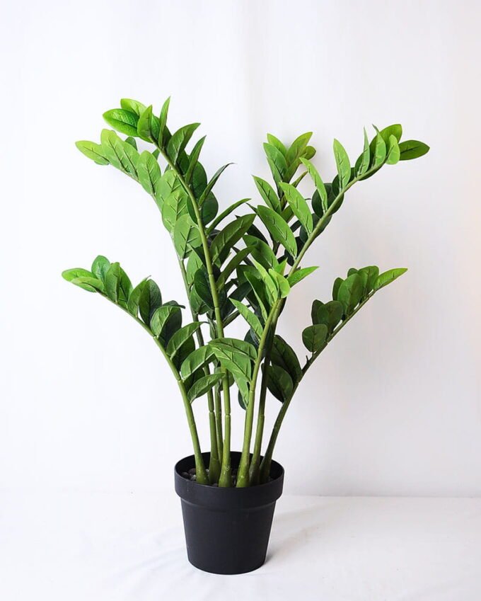 Artificial Tree 53*47*72CM Zamioculcas tree in the plastic pot GS-30419015