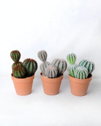 Artificial succulent 14*13*22CM Cactus in plastic pot GS-45219101