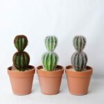 Artificial succulent 10.5*10.5*22CM Cactus in plastic pot GS-45219103