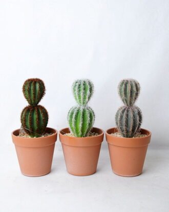 Artificial succulent 10.5*10.5*22CM Cactus in plastic pot GS-45219103