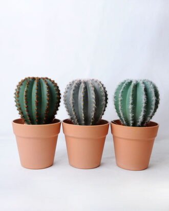 Artificial succulent 14*14*25.5CM Cactus in plastic pot GS-45219104 Succulent YeahFlower is one of Chinese leading OEM manufacturers and exporters , supplying the silk flowers, wholesale artificial trees Artificial succulent 14*14*25.5CM Cactus in plastic pot GS-45219104
