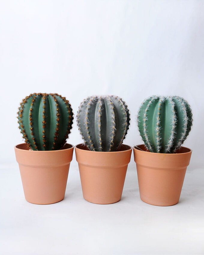Artificial succulent 14*14*25.5CM Cactus in plastic pot GS-45219104