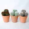 Artificial succulent 10.5*10.5*16CM Cactus in plastic pot GS-45219106