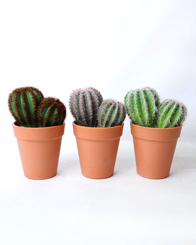 Artificial succulent 11*9 Artificial succulent 11*9.5*16CM Cactus in plastic pot GS-45219107