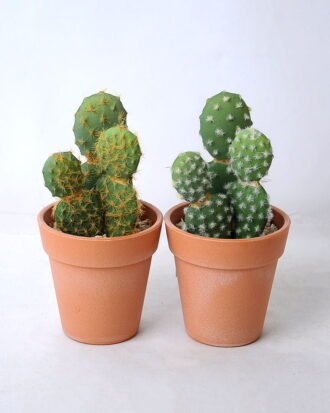 Artificial succulent 8.5*8*15.5CM Cactus in plastic pot GS-45219111