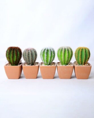 Artificial succulent 5.5*5.5*10CM Cactus in plastic pot GS-45219122 Succulent YeahFlower is one of Chinese leading OEM manufacturers and exporters , supplying the silk flowers, wholesale artificial trees Artificial succulent 5.5*5.5*10CM Cactus in plastic pot GS-45219122