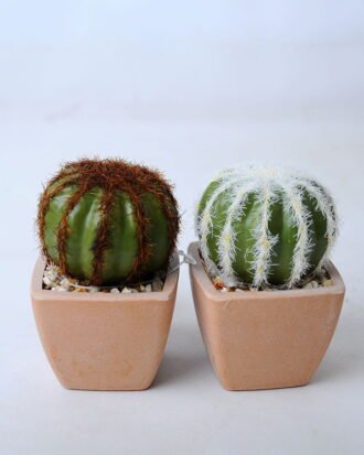 Artificial succulent 5.5*5.5*8CM Cactus in plastic pot GS-45219123 Succulent YeahFlower is one of Chinese leading OEM manufacturers and exporters , supplying the silk flowers, wholesale artificial trees Artificial succulent 5.5*5.5*8CM Cactus in plastic pot GS-45219123