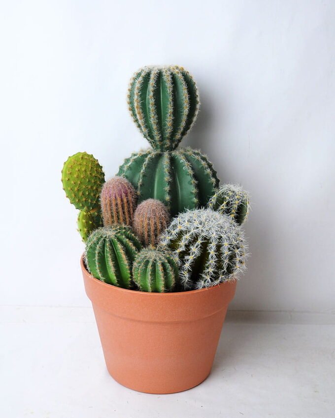 Artificial succulent 21*20.5*34CM Cactus in plastic pot GS-45219125
