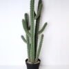 Artificial succulent 37*25*118cm Cactus with plastic pot GS-45219053