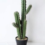 Artificial succulent 24*21*71cm Cactus with plastic pot GS-45219054