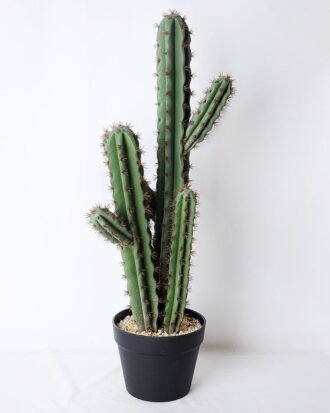 Artificial succulent 24*21*71cm Cactus with plastic pot GS-45219054