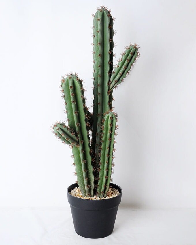 Artificial succulent 24*21*71cm Cactus with plastic pot GS-45219054 1 Artificial succulent 24*21*71cm Cactus with plastic pot GS-45219054