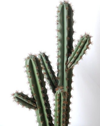 Artificial succulent 24*21*71cm Cactus with plastic pot GS-45219054