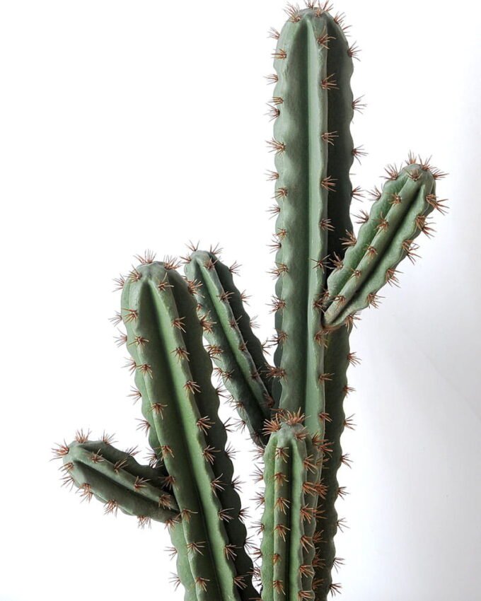 Artificial succulent 24*21*71cm Cactus with plastic pot GS-45219054 2 Artificial succulent 24*21*71cm Cactus with plastic pot GS-45219054