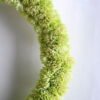 Artificial succulent D:19CM Flower ring GS-54019037-G2 2 Artificial succulent D:19CM Flower ring GS-54019037-G2