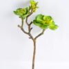 Artificial succulent 18*27.5CM Succulent GS-30319058-G1