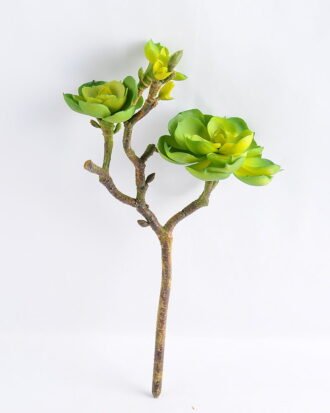 Artificial succulent 18*27.5CM Succulent GS-30319058-G1 Potted Flowers&Plants YeahFlower is one of Chinese leading OEM manufacturers and exporters , supplying the silk flowers, wholesale artificial trees Artificial succulent 18*27.5CM Succulent GS-30319058-G1