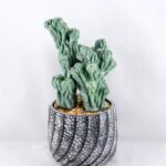 Artificial succulent 10*6*26CM Succulent Plants Hanging GS-47219008