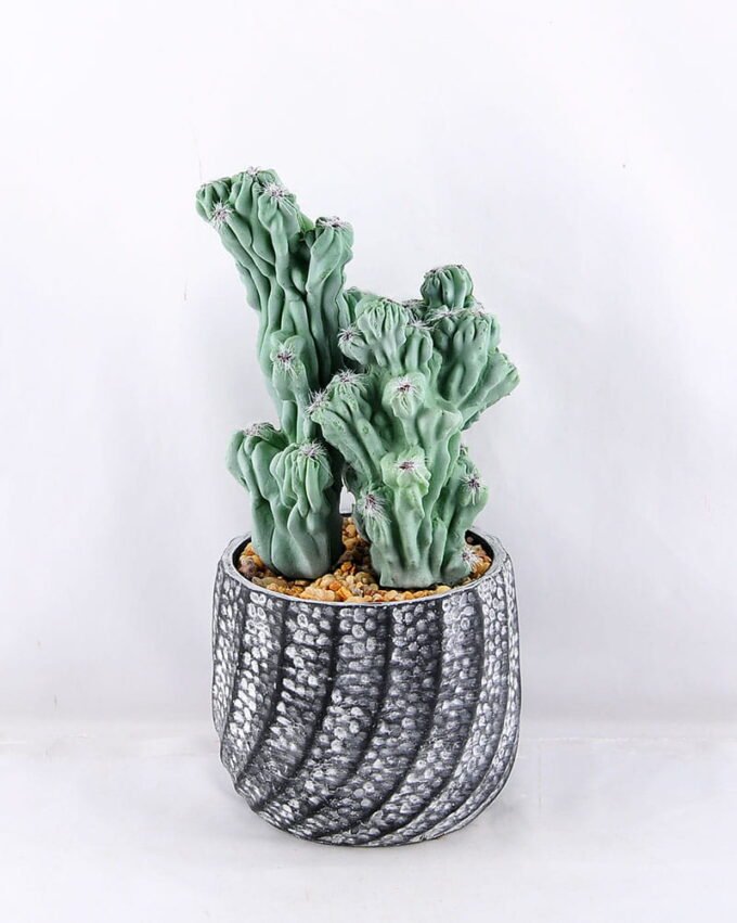 Artificial succulent 10*6*26CM Succulent Plants Hanging GS-47219008