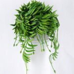 Artificial succulent 13*15*31CM Succulent Plants In Cement Pot GS-47219009-G1