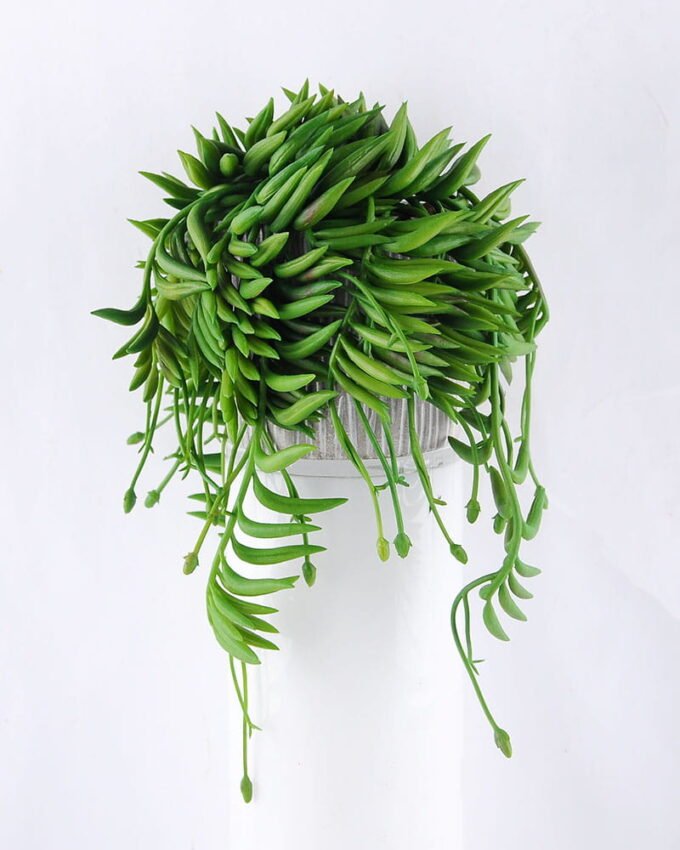 Artificial succulent 13*15*31CM Succulent Plants In Cement Pot GS-47219009-G1 1 Artificial succulent 13*15*31CM Succulent Plants In Cement Pot GS-47219009-G1