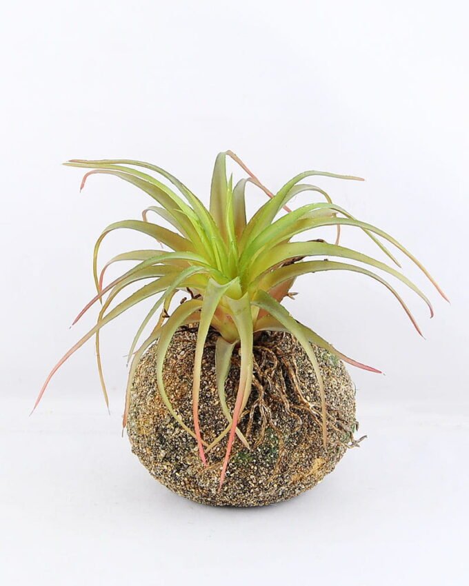 Artificial succulent 12*15CM Succulent Plants In Foam GS-47219010-G1