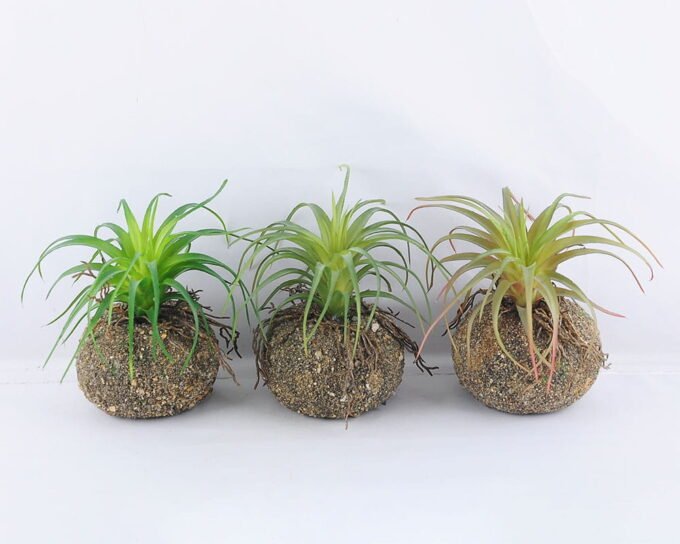 Artificial succulent 12*15CM Succulent Plants In Foam GS-47219010-G1