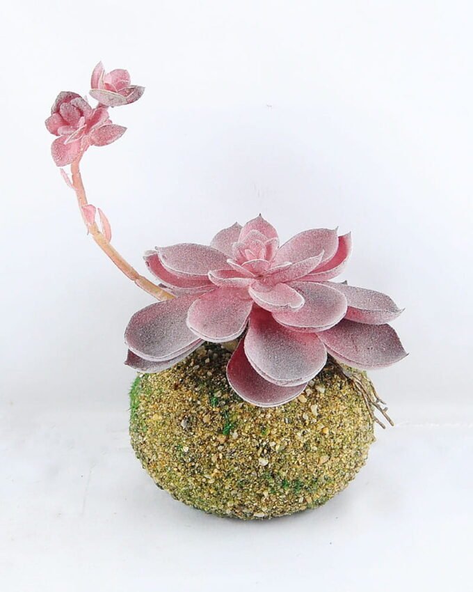 Artificial succulent 11*19CM Succulent Plants In Foam GS-47219013-R1